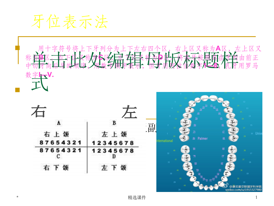 牙位表示法ppt课件_第1页