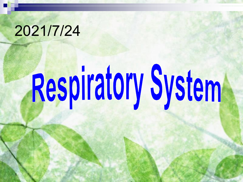 呼吸系统-英文版PPT课件_第1页