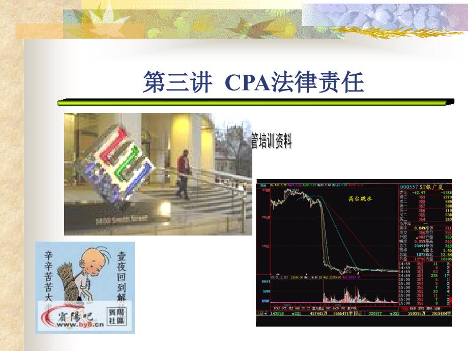 CPA法律责任培训课件(共48页)_第1页