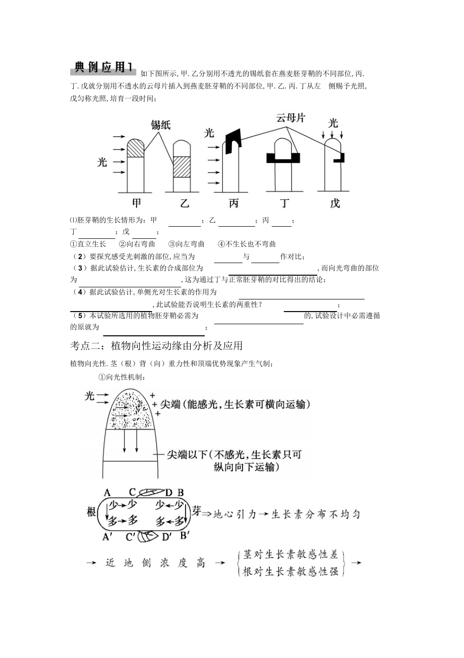 2022年人教版高中生物必修三第三章《植物的激素调节》学案_第2页