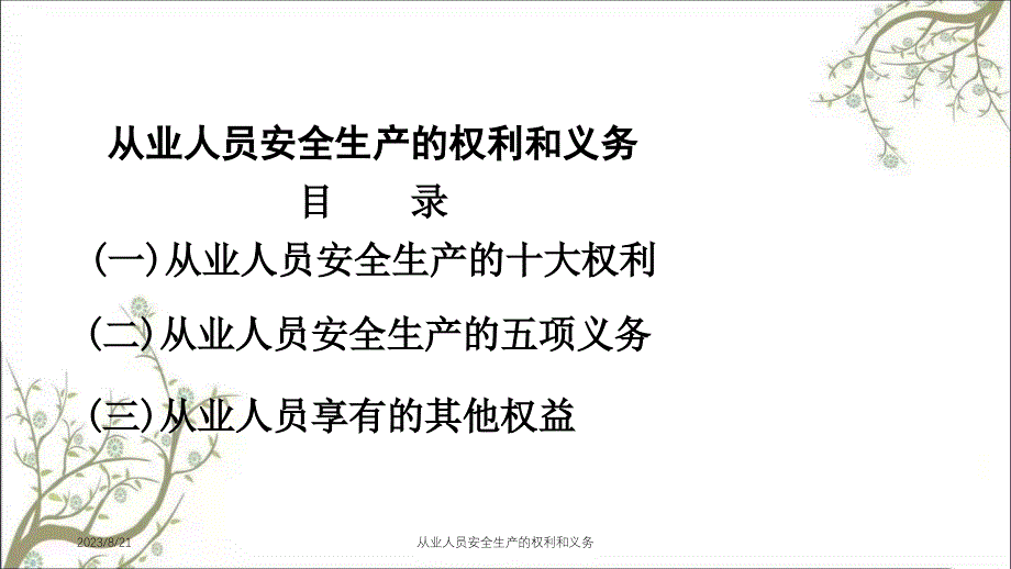 从业人员安全生产的权利和义务PPT课件_第2页