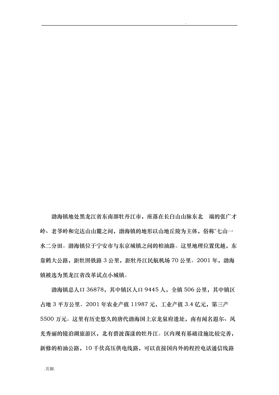 渤海镇城镇调查研究报告范本分析报告_第2页