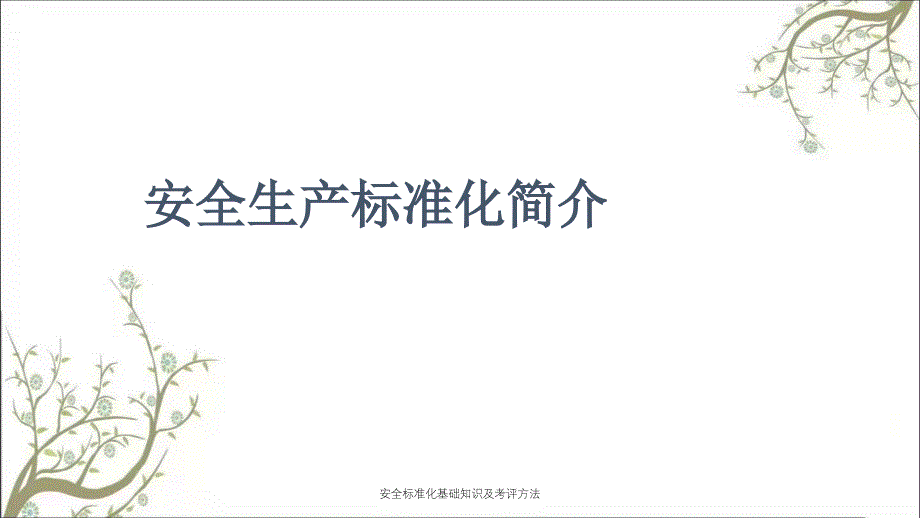 安全标准化基础知识及考评方法PPT课件_第1页