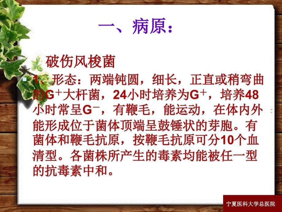 破伤风的诊断与治疗ppt课件_第5页