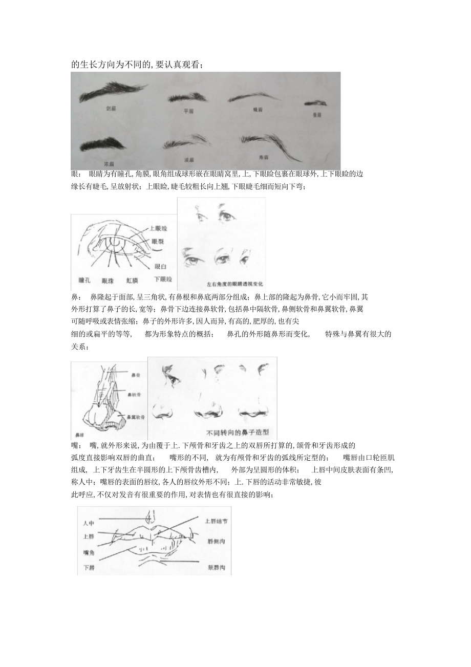 2022年2022年高二年级人物头像素描教案_第2页