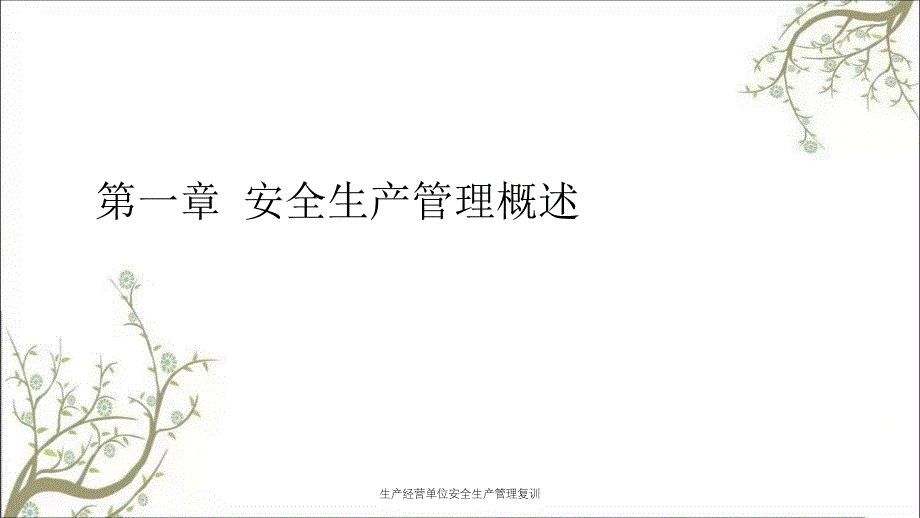 生产经营单位安全生产管理复训PPT课件_第2页