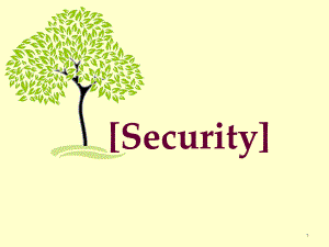 security-and-safety英语演讲PPT