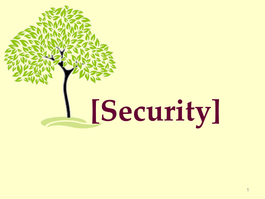 security-and-safety英语演讲PPT_第1页