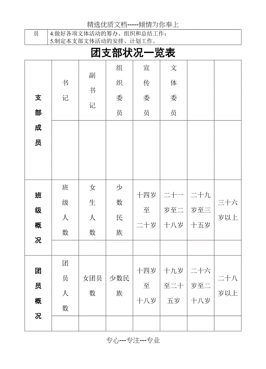 团支部工作记录本模板(共17页)_第4页