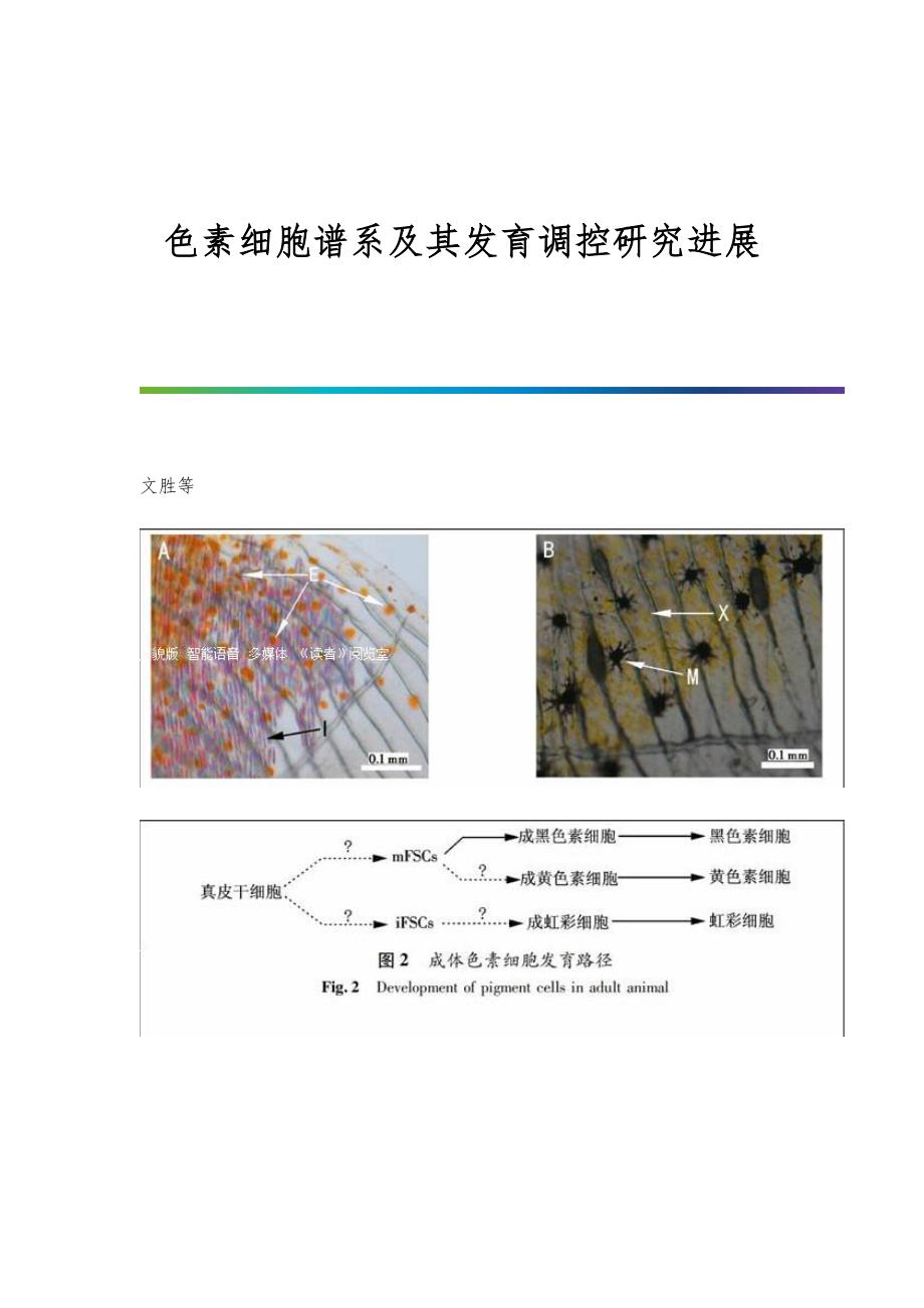 色素细胞谱系及其发育调控研究进展_第1页