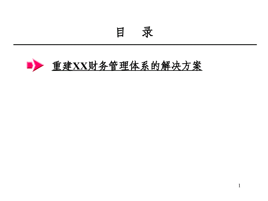 某咨询的财务解决方案_第1页