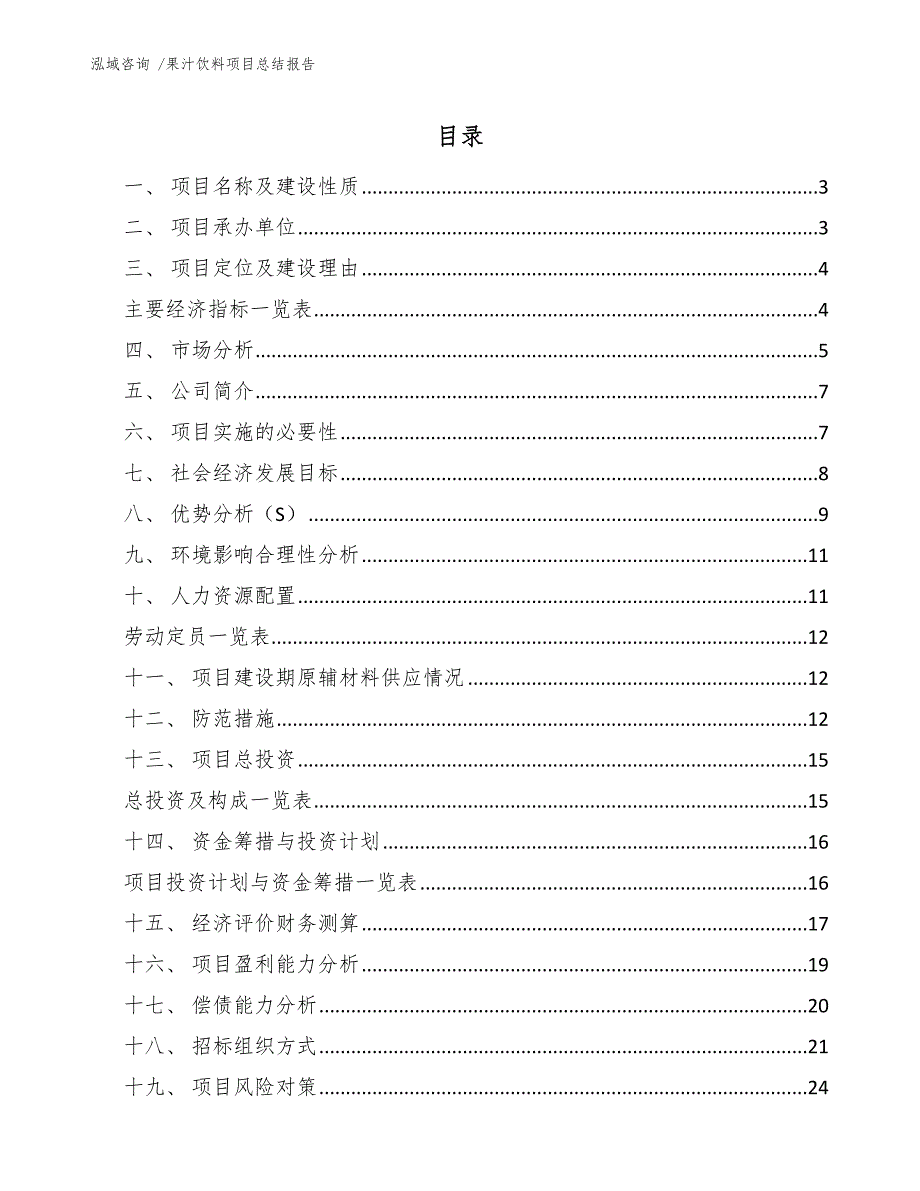 果汁饮料项目总结报告（模板参考）_第1页