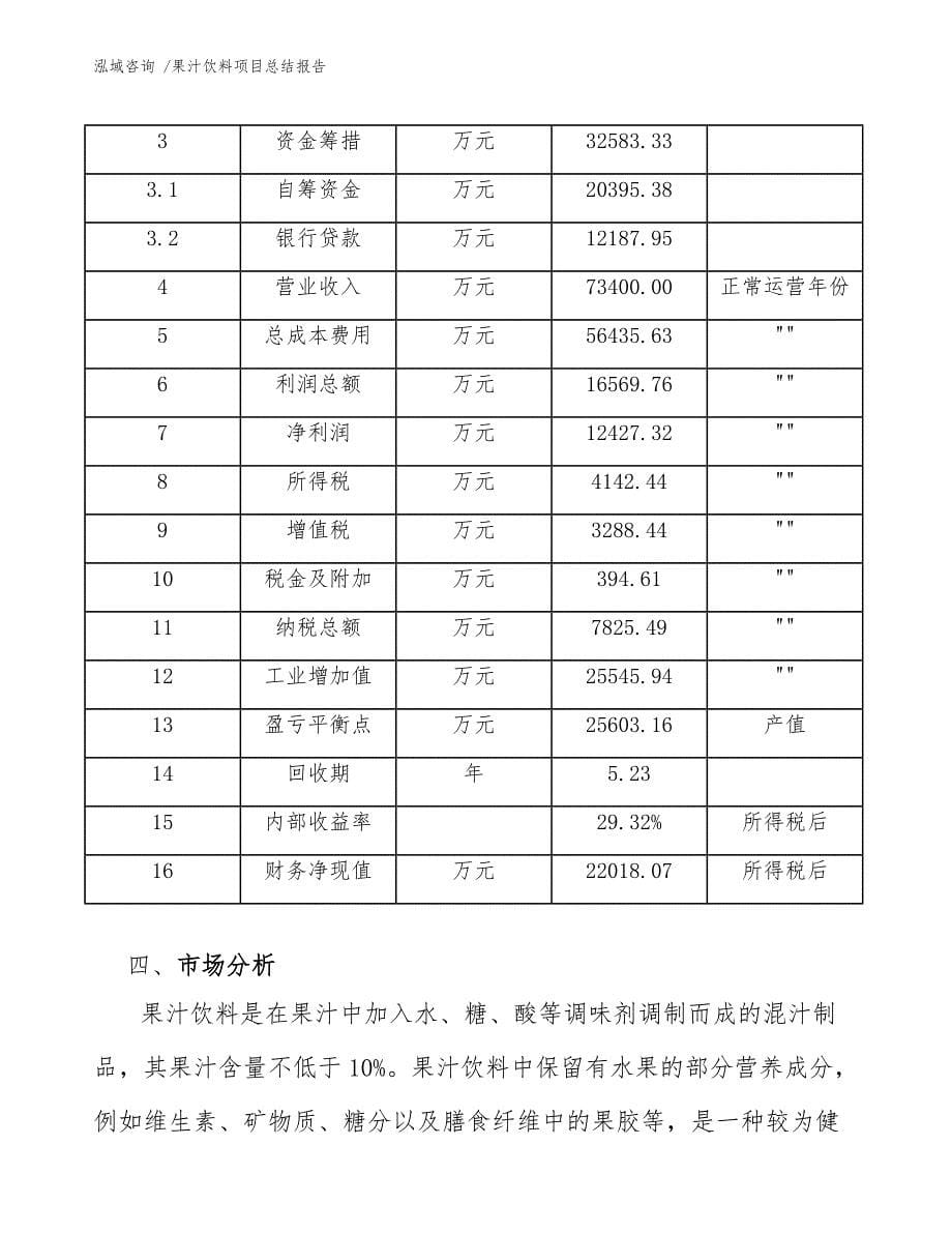 果汁饮料项目总结报告（模板参考）_第5页