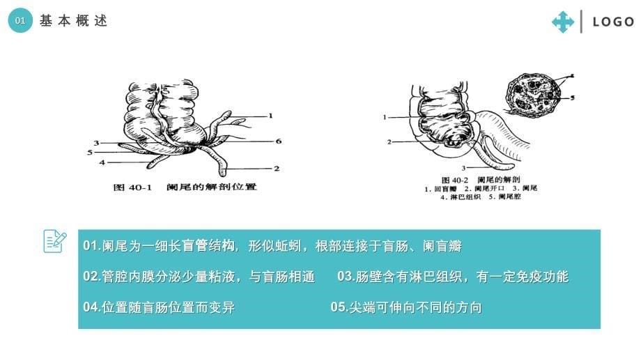 蓝色卡通医疗培训护理低血糖休克查房PPT讲解资料课件_第5页