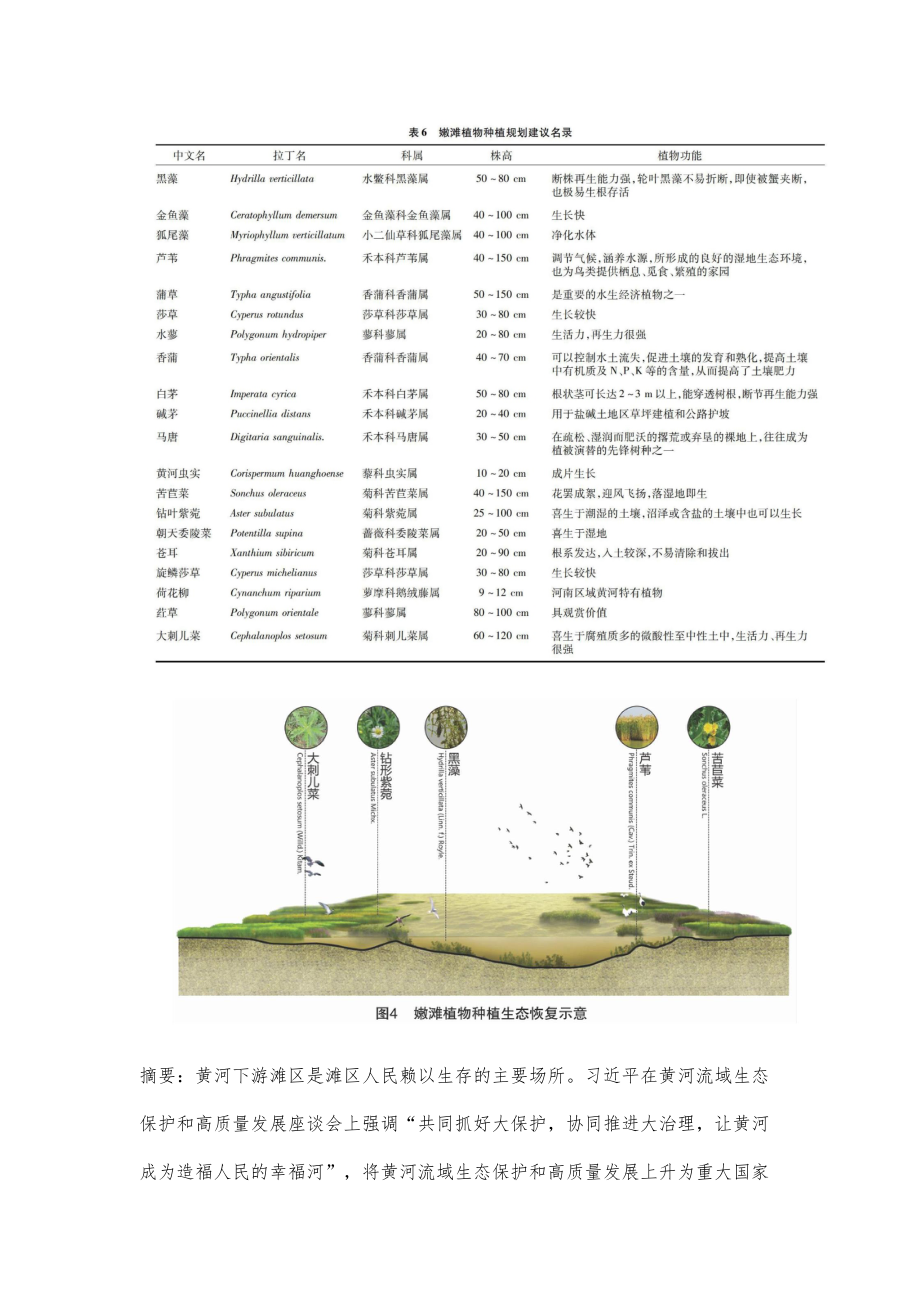 黄河下游滩区园林植物设计及生态修复研究_第3页