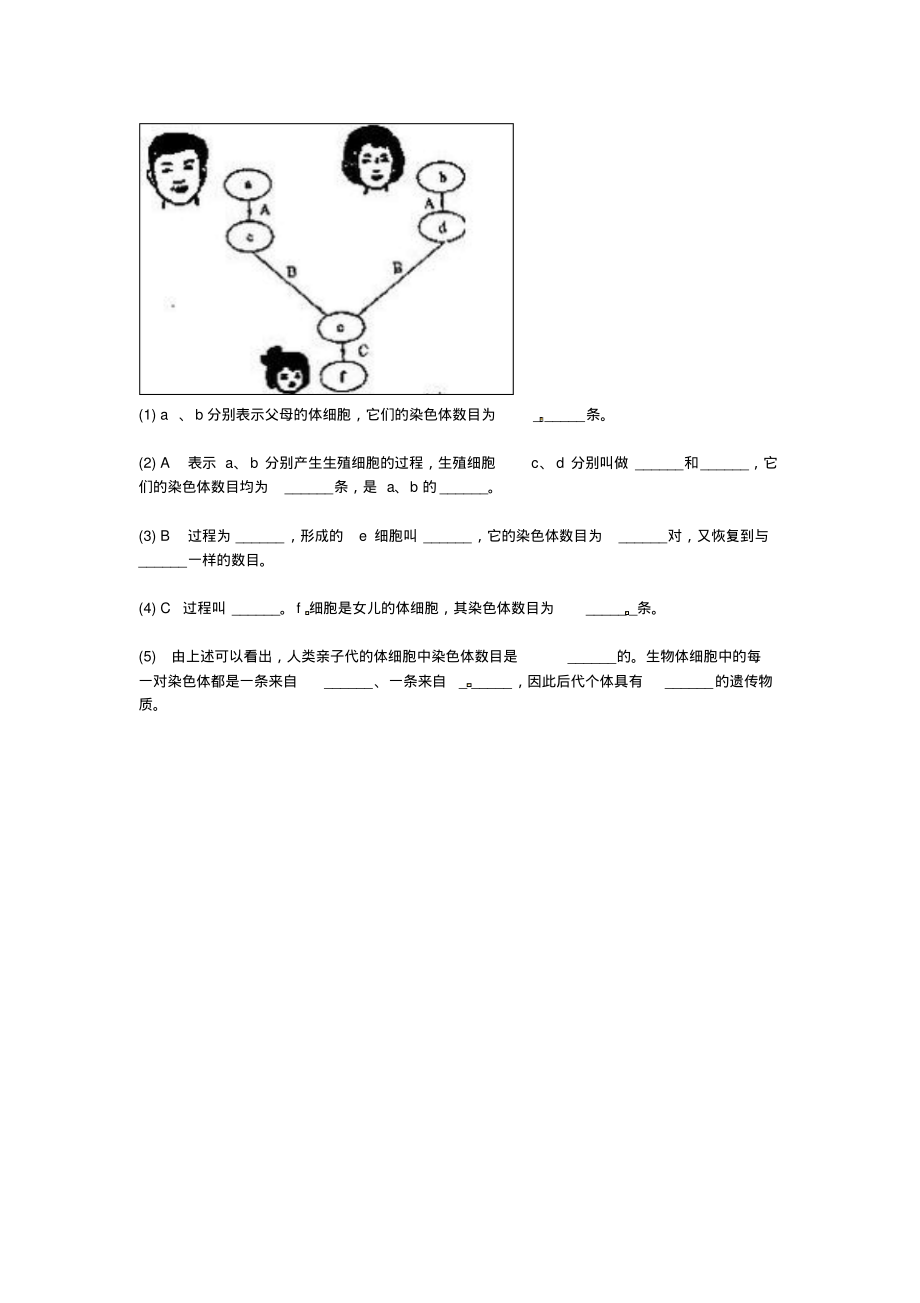 ★河南省永城市八年级生物下册7.2.2基因在亲子代间的传递综合训练无答案新版新人教版_259_第2页