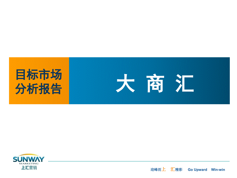 市场分析及管理知识报告模板(共35页)_第1页