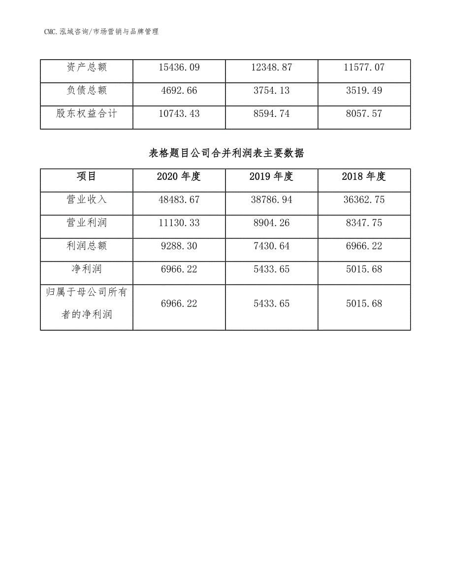 光纤预制棒公司市场营销与品牌管理（范文）_第5页