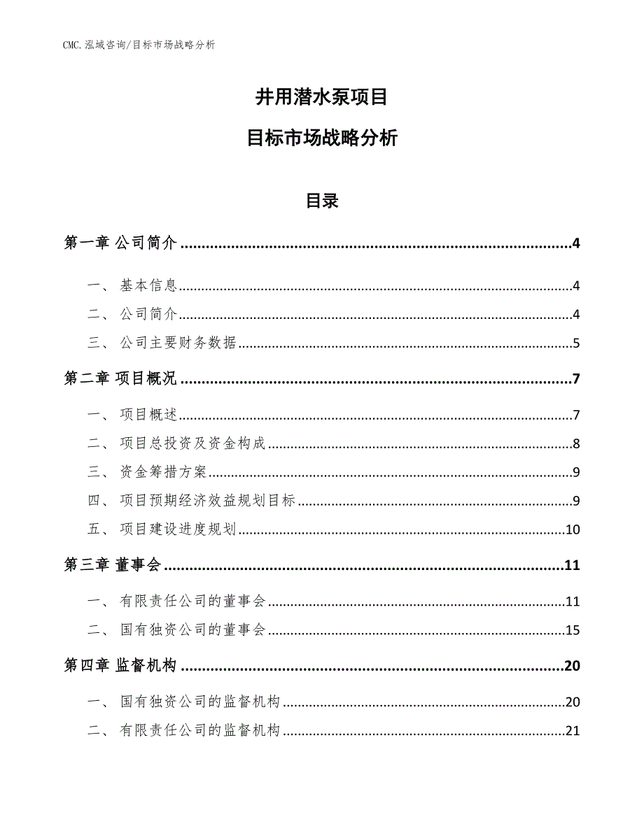 井用潜水泵项目目标市场战略分析（范文）_第1页