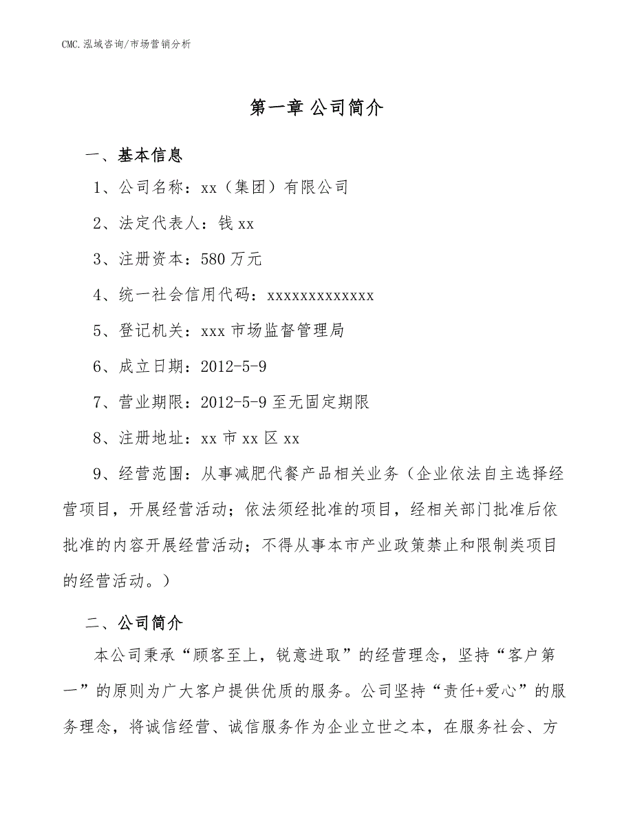 减肥代餐产品项目市场营销分析（模板）_第4页