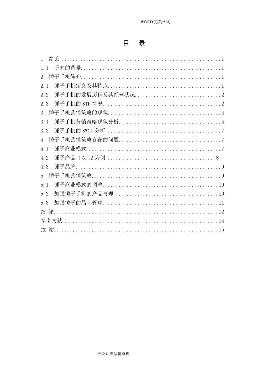 锤子手机的营销策略分析范文_第3页