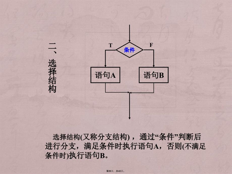 (VB二级)第5章程序控制结构_第4页