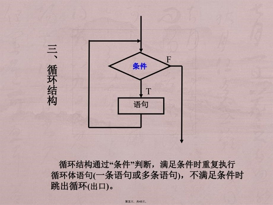 (VB二级)第5章程序控制结构_第5页