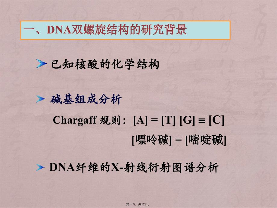 DNA的二级结构_第1页