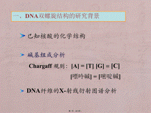 DNA的二级结构
