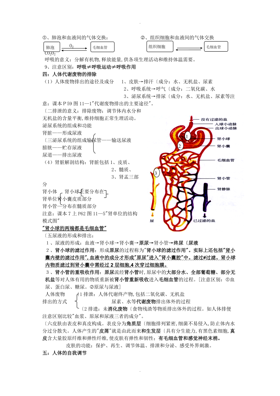 七年级生物（下册）知识点(北师大版)_第4页