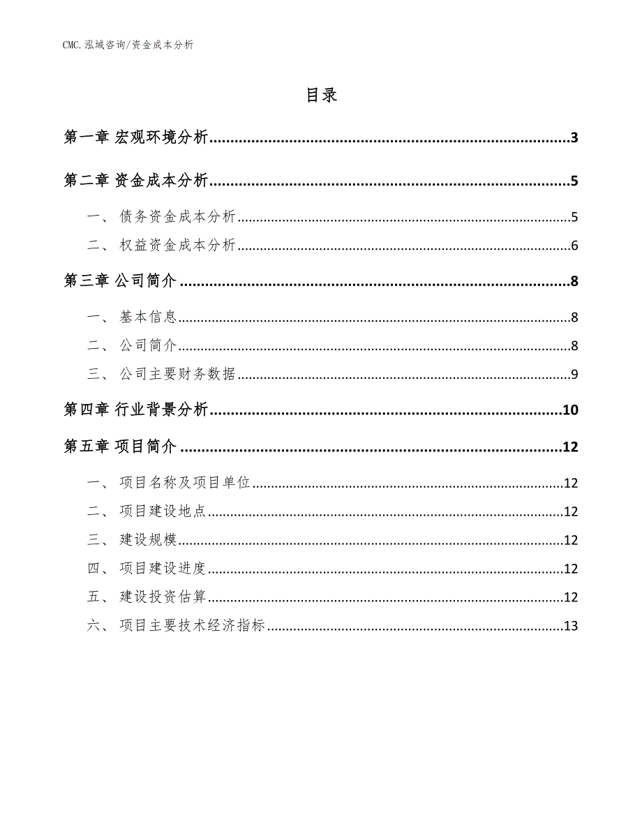 调味品公司资金成本分析（模板）_第2页