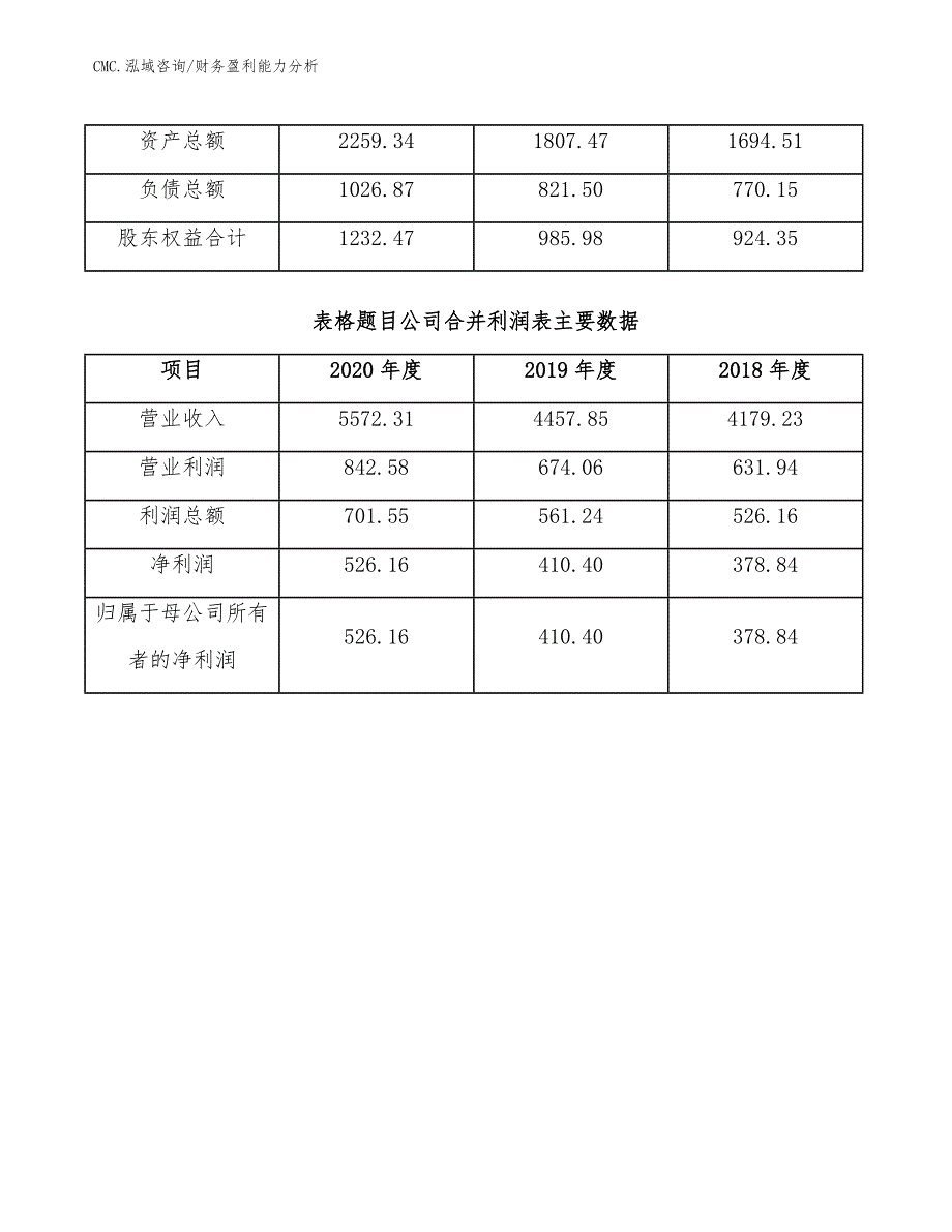 钾长石项目财务盈利能力分析（模板）_第4页