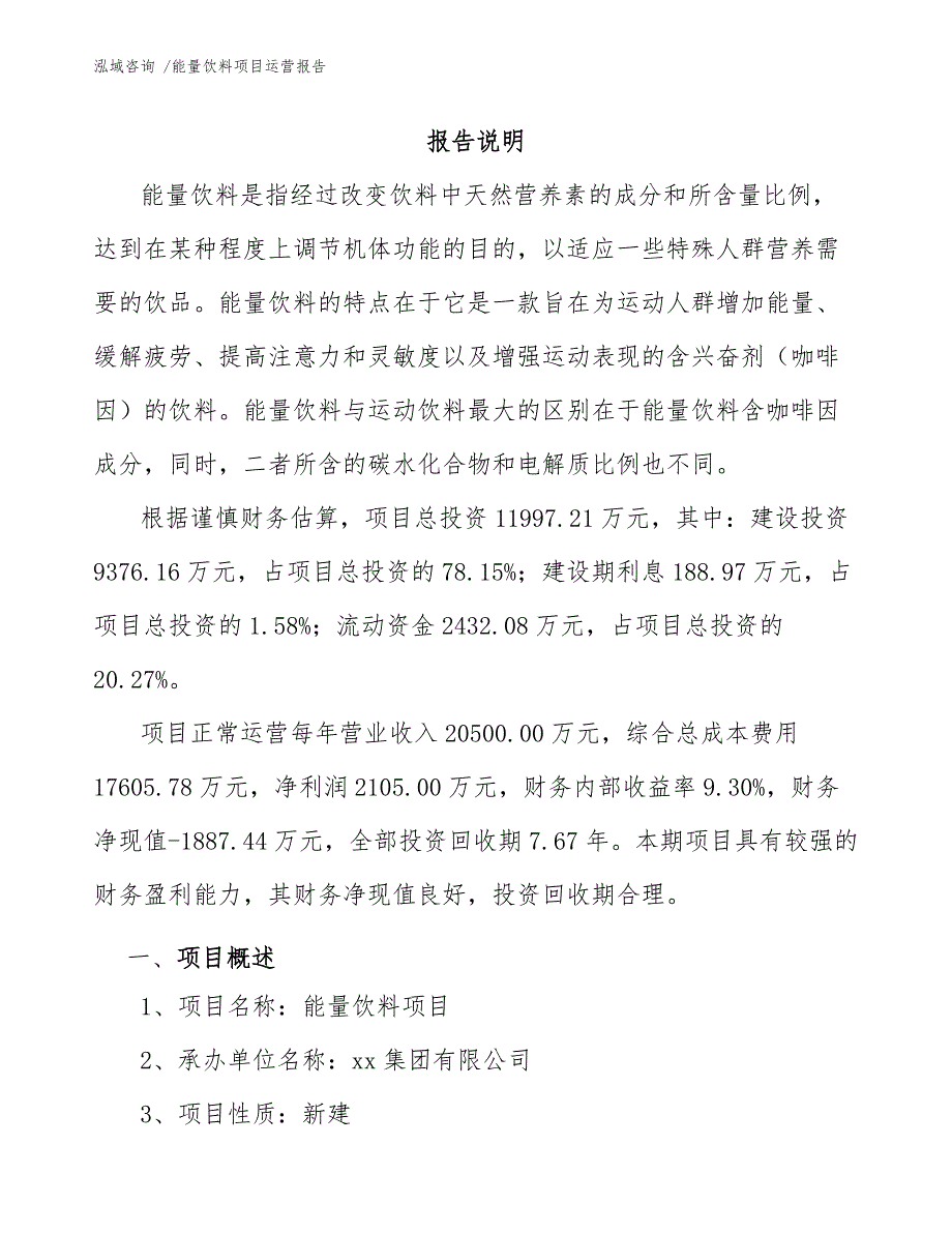 能量饮料项目运营报告（模板）_第2页