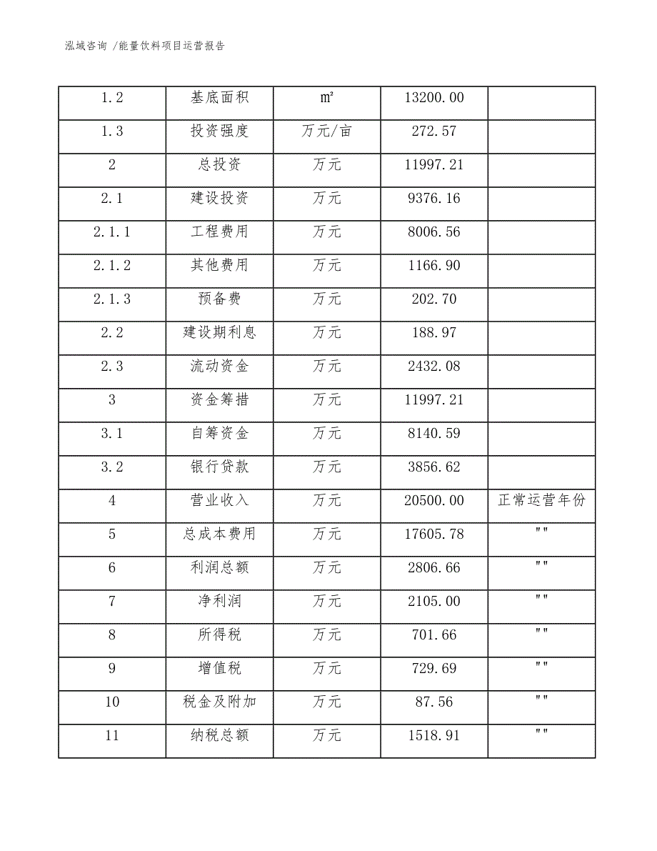 能量饮料项目运营报告（模板）_第4页