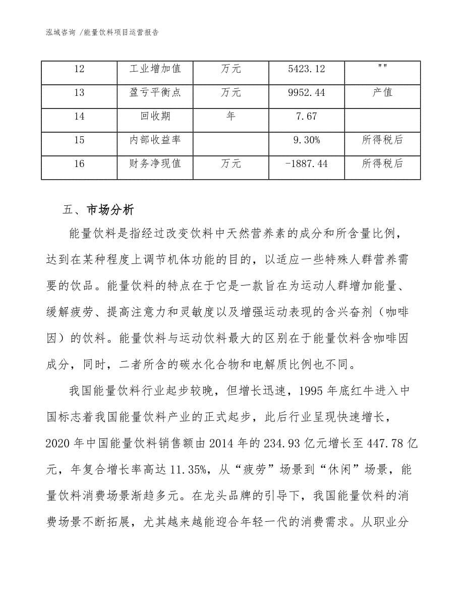 能量饮料项目运营报告（模板）_第5页