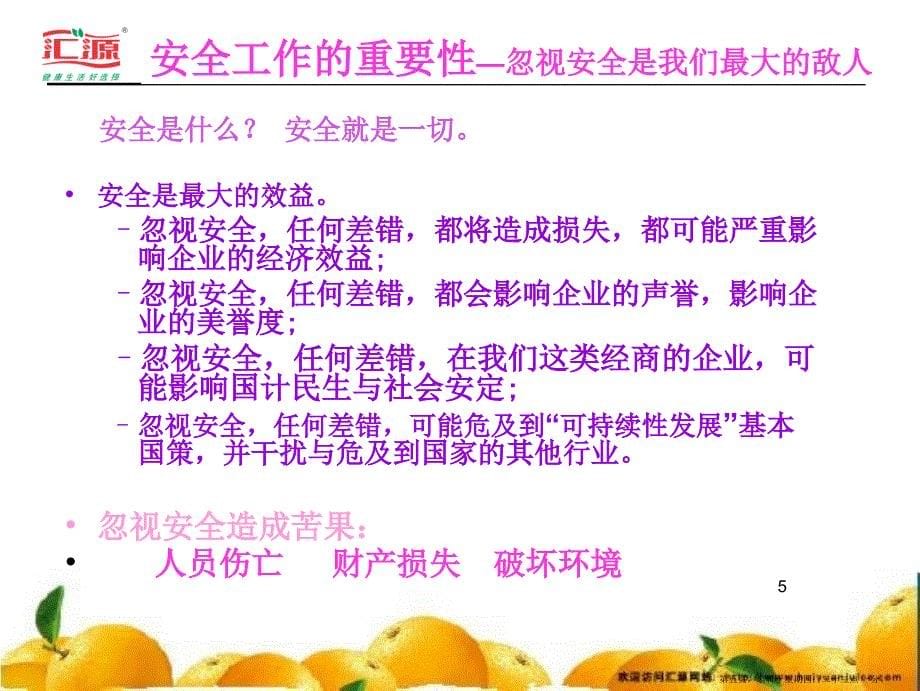 强化安全意识提升防范能力(powerpoint 38页)_第5页