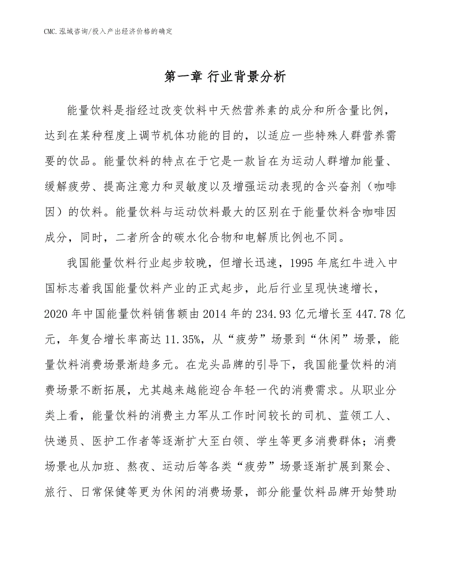 能量饮料项目投入产出经济价格的确定（参考）_第2页