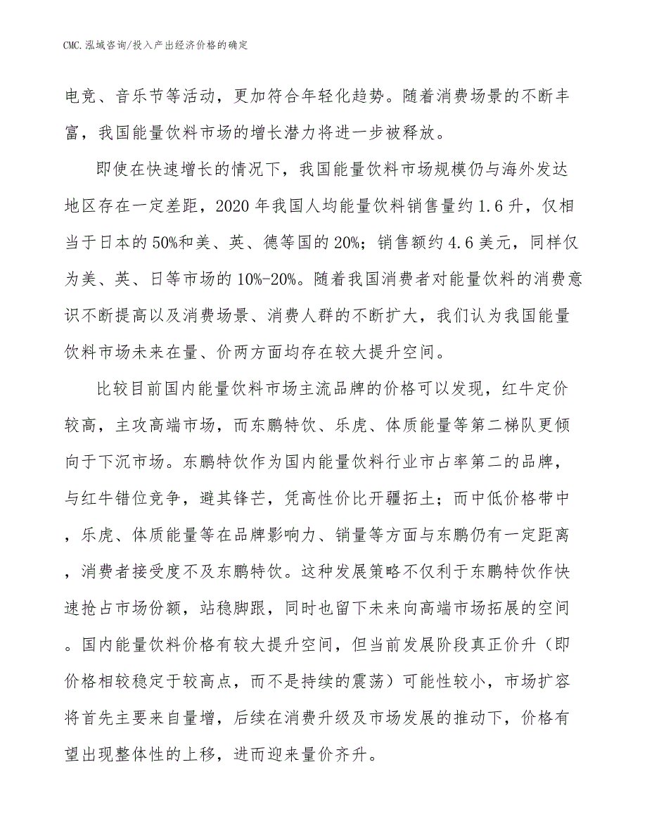 能量饮料项目投入产出经济价格的确定（参考）_第3页