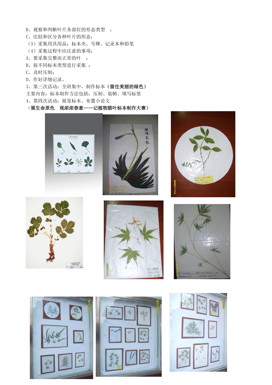 生物综合实践活动课教案 (2)_第4页