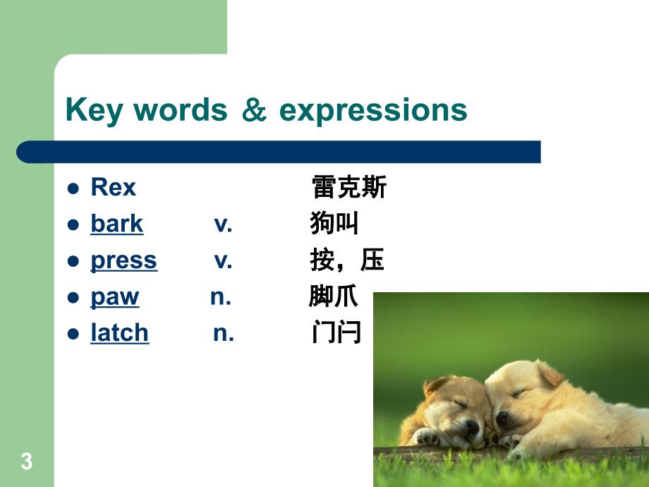 新概念英语第二册Lesson 59（课堂PPT）_第3页