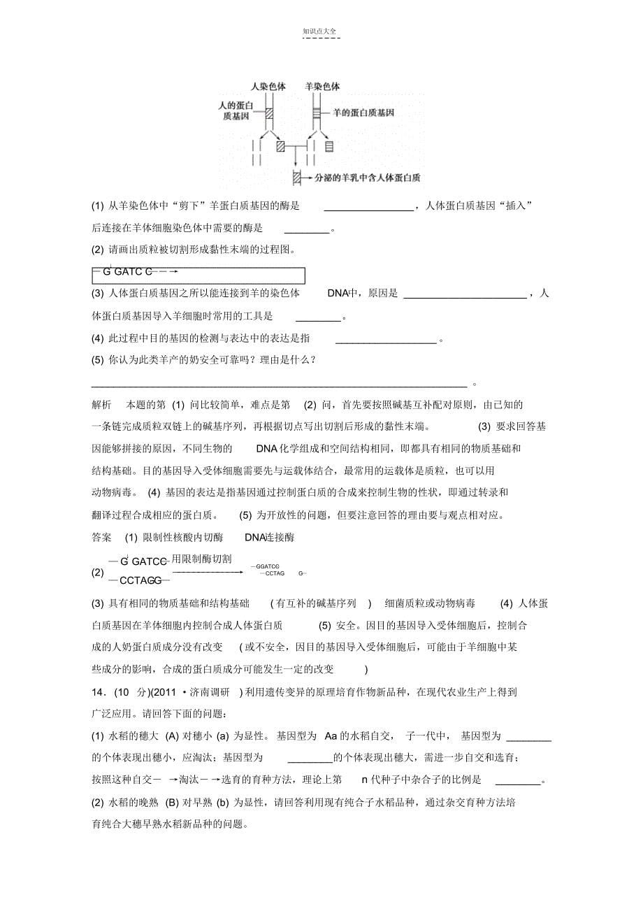 高一生物《遗传与进化》知识点习题演练(32)_第5页