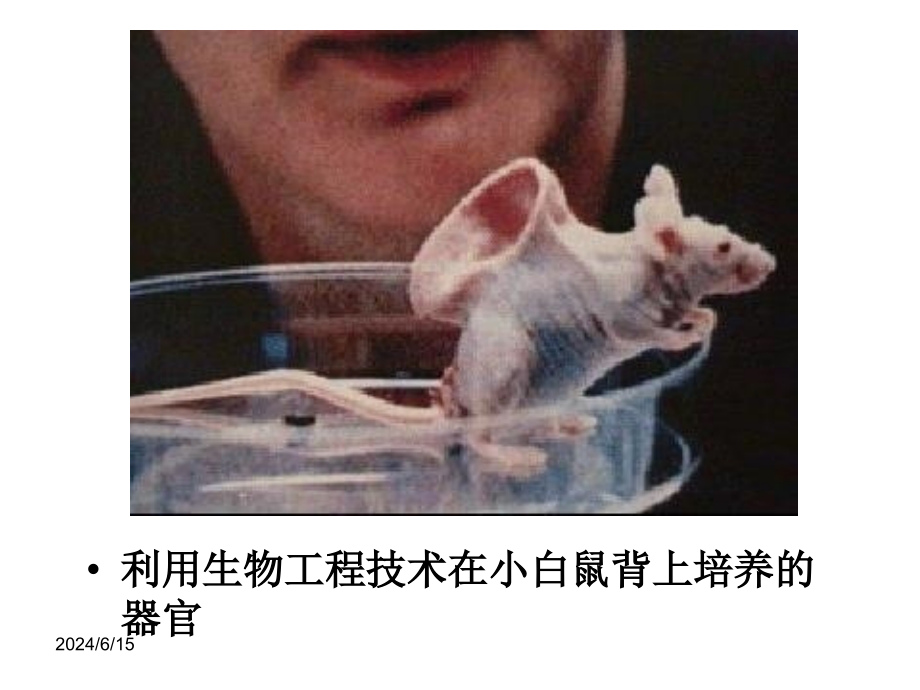 1-功能高分子总论资料讲解_第2页