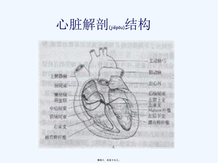 《临床心电图分析》PPT课件_第4页