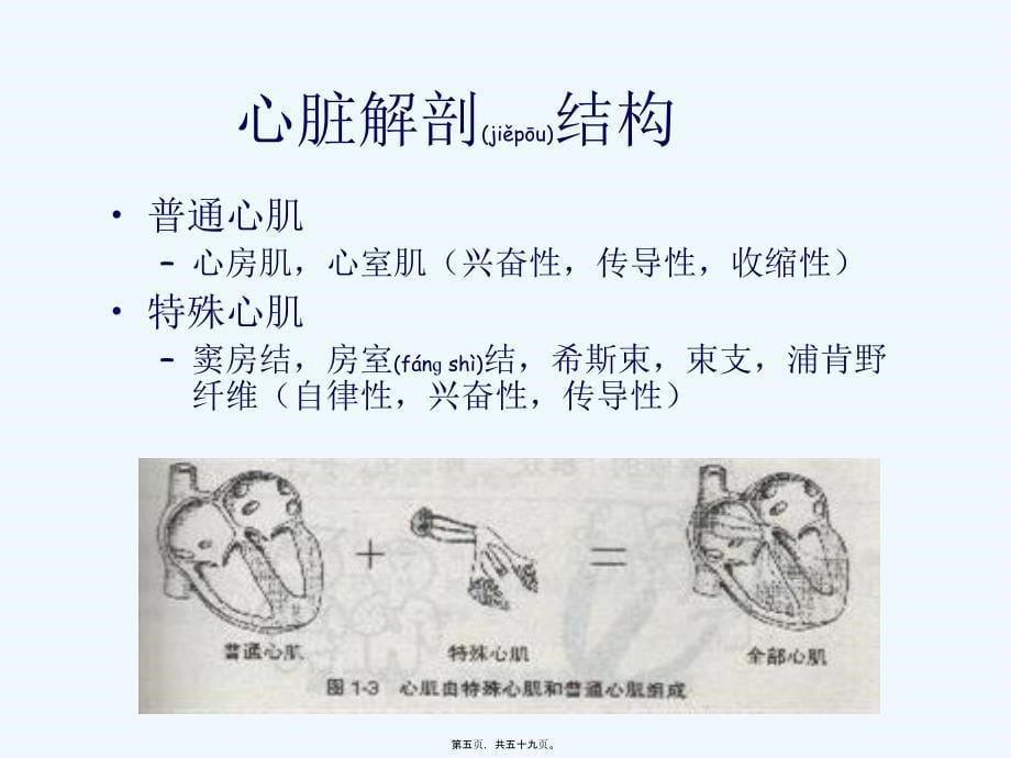 《临床心电图分析》PPT课件_第5页