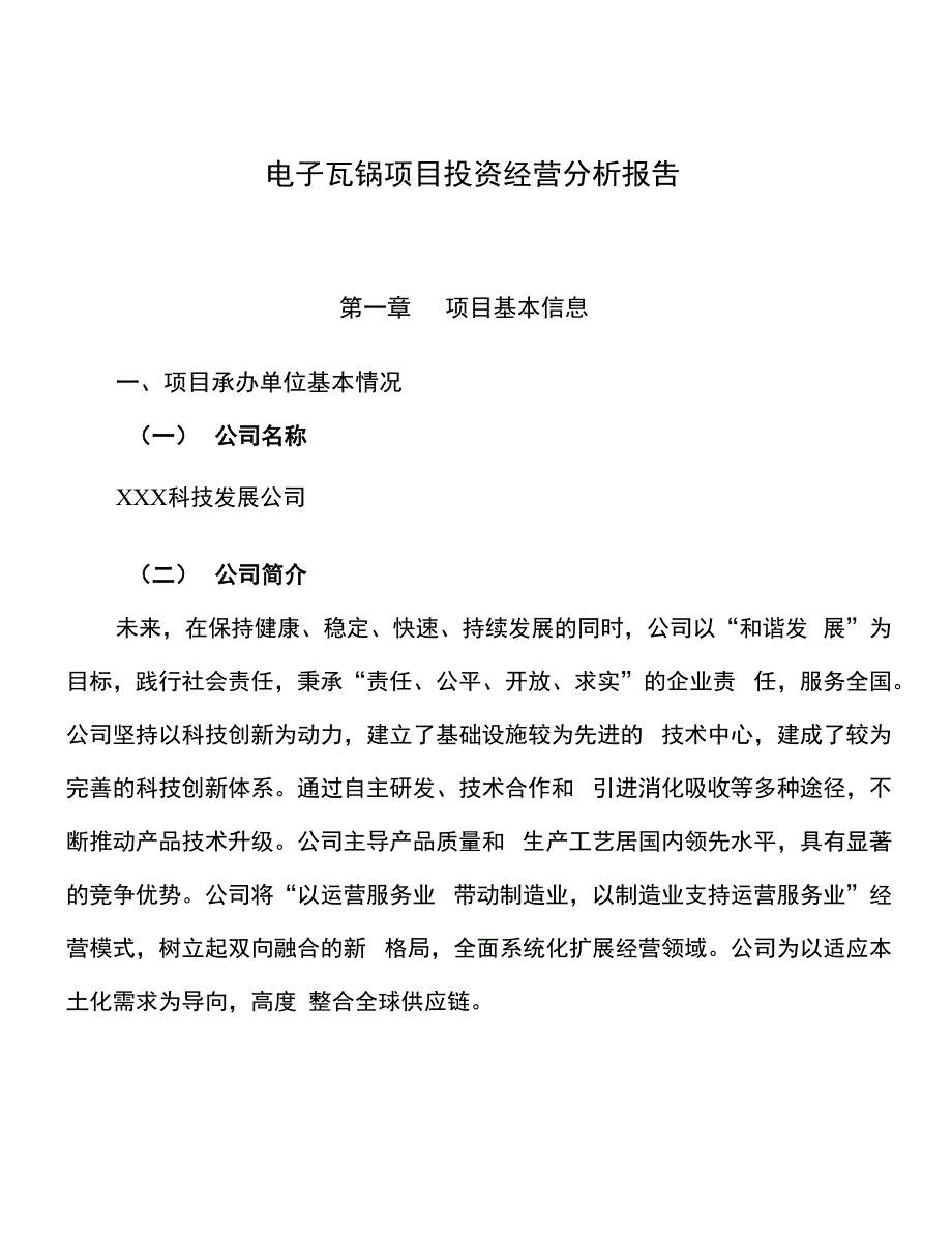 电子瓦锅项目投资经营分析报吿_第1页