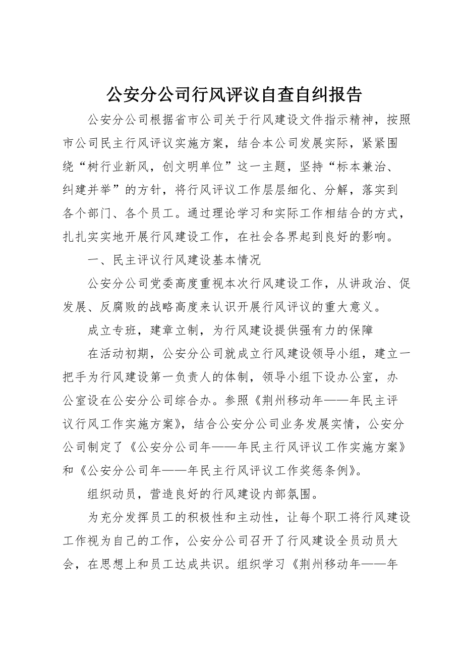 公安分公司行风评议自查自纠报告 (2)_第1页