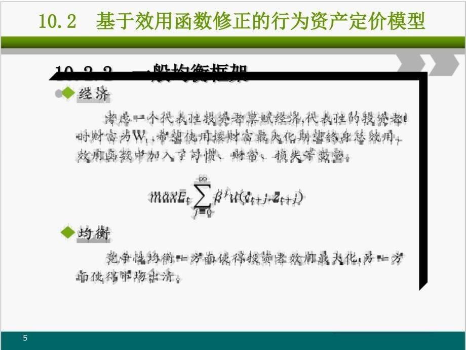 行为资产定价理论(共36页)_第5页