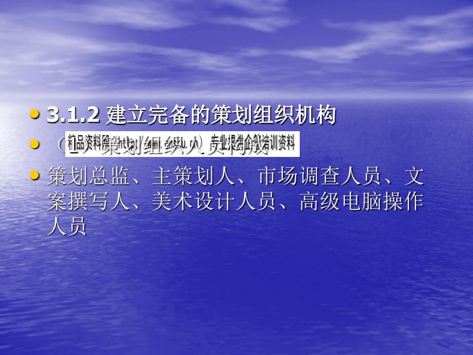 营销策划的控制与实施(共18页)_第4页