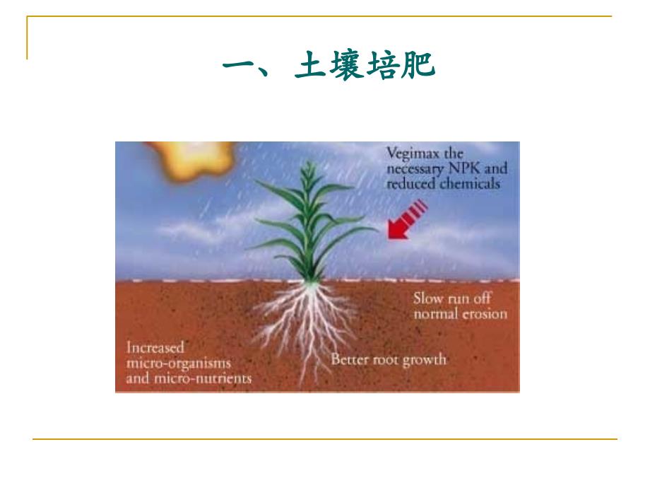 第四节安全优质农产品的土壤环境质量控制教学教材_第2页