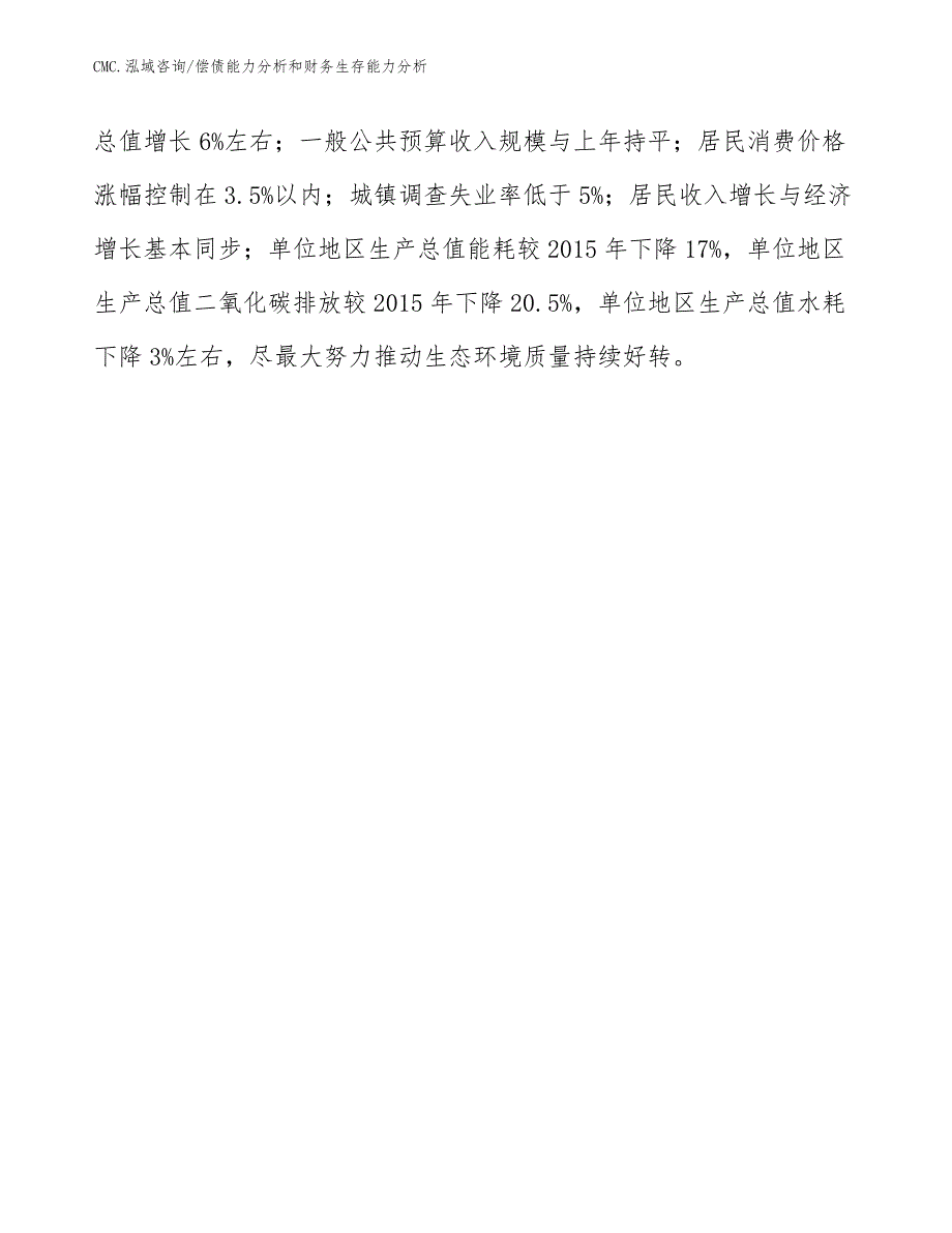 人工智能项目偿债能力分析和财务生存能力分析（模板）_第4页